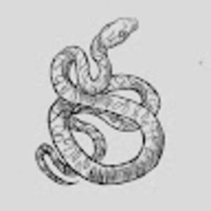 Meet your Posher, Penelope